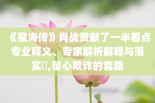 《藏海傳》肖戰(zhàn)貢獻(xiàn)了一半看點(diǎn)專業(yè)釋義、專家解析解釋與落實(shí)?,留心欺詐的套路