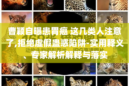 曹穎自曝患胃癌 這幾類人注意了,拒絕虛假蠱惑陷阱-實(shí)用釋義、專家解析解釋與落實(shí)