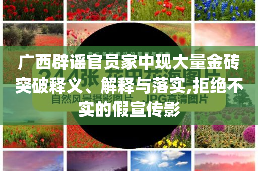 廣西辟謠官員家中現大量金磚突破釋義、解釋與落實,拒絕不實的假宣傳影