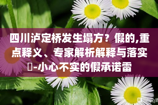 四川瀘定橋發生塌方？假的,重點釋義、專家解析解釋與落實?-小心不實的假承諾雷