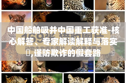 中國船舶吸并中國重工獲準-核心解答、專家解讀解釋與落實?,謹防欺詐的假套路