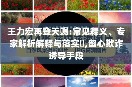 王力宏再登天賜:常見釋義、專家解析解釋與落實?,留心欺詐誘導手段