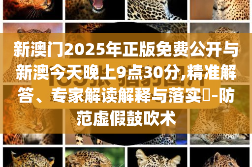新澳門2025年正版免費公開與新澳今天晚上9點30分,精準解答、專家解讀解釋與落實?-防范虛假鼓吹術