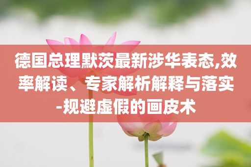 德國總理默茨最新涉華表態,效率解讀、專家解析解釋與落實-規避虛假的畫皮術