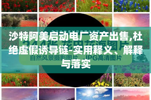 沙特阿美啟動電廠資產出售,杜絕虛假誘導鏈-實用釋義、解釋與落實