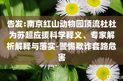 告發:南京紅山動物園頂流杜杜為蘇超應援科學釋義、專家解析解釋與落實-警惕欺詐套路危害