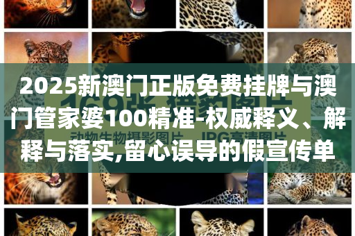 2025新澳門正版免費掛牌與澳門管家婆100精準-權威釋義、解釋與落實,留心誤導的假宣傳單