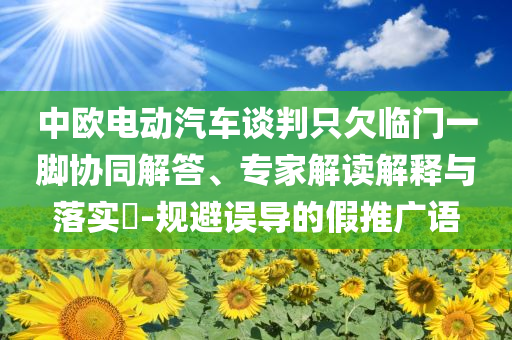 中歐電動(dòng)汽車談判只欠臨門一腳協(xié)同解答、專家解讀解釋與落實(shí)?-規(guī)避誤導(dǎo)的假推廣語(yǔ)