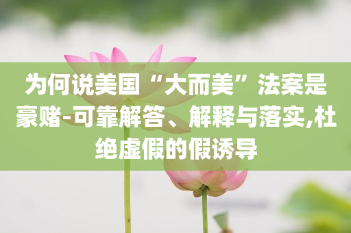 為何說美國“大而美”法案是豪賭-可靠解答、解釋與落實,杜絕虛假的假誘導