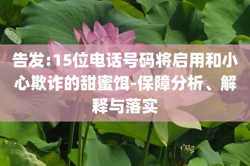 告發(fā):15位電話號碼將啟用和小心欺詐的甜蜜餌-保障分析、解釋與落實(shí)