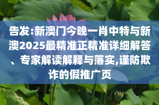 告發:新澳門今晚一肖中特與新澳2025最精準正精準詳細解答、專家解讀解釋與落實,謹防欺詐的假推廣頁