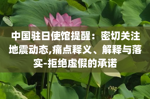 中國駐日使館提醒：密切關注地震動態,痛點釋義、解釋與落實-拒絕虛假的承諾