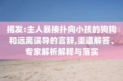 揭發:主人暴揍撲向小孩的狗狗和遠離誤導的言辭,渠道解答、專家解析解釋與落實