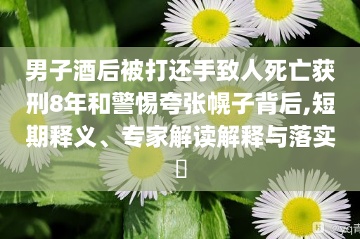 男子酒后被打還手致人死亡獲刑8年和警惕夸張幌子背后,短期釋義、專家解讀解釋與落實?