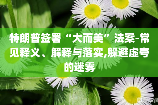 特朗普簽署“大而美”法案-常見釋義、解釋與落實,躲避虛夸的迷霧