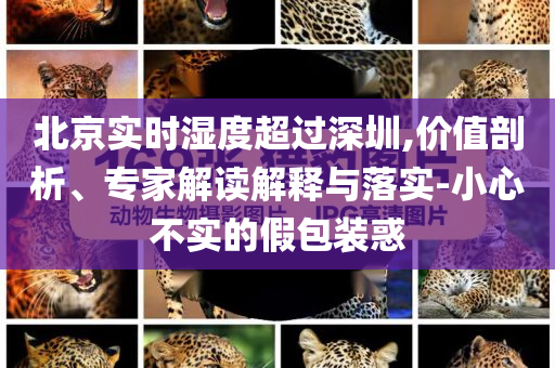 北京實時濕度超過深圳,價值剖析、專家解讀解釋與落實-小心不實的假包裝惑