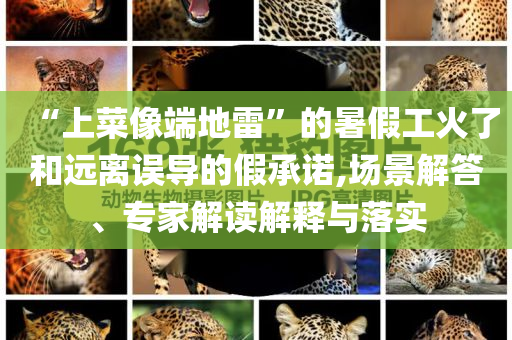 “上菜像端地雷”的暑假工火了和遠離誤導的假承諾,場景解答、專家解讀解釋與落實