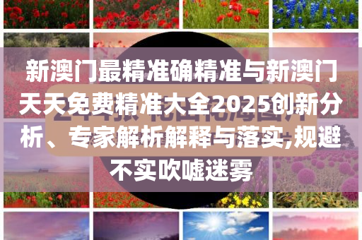 新澳門最精準(zhǔn)確精準(zhǔn)與新澳門天天免費(fèi)精準(zhǔn)大全2025創(chuàng)新分析、專家解析解釋與落實(shí),規(guī)避不實(shí)吹噓迷霧