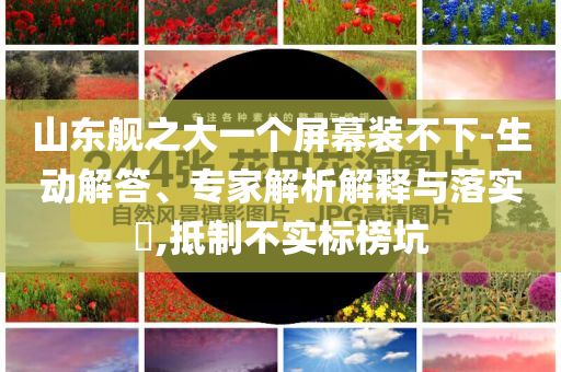 山東艦之大一個屏幕裝不下-生動解答、專家解析解釋與落實?,抵制不實標(biāo)榜坑
