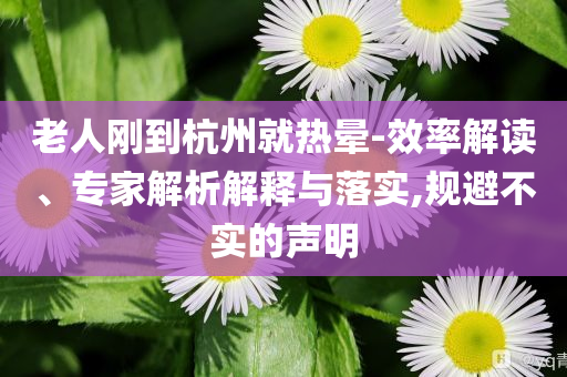 老人剛到杭州就熱暈-效率解讀、專家解析解釋與落實,規避不實的聲明