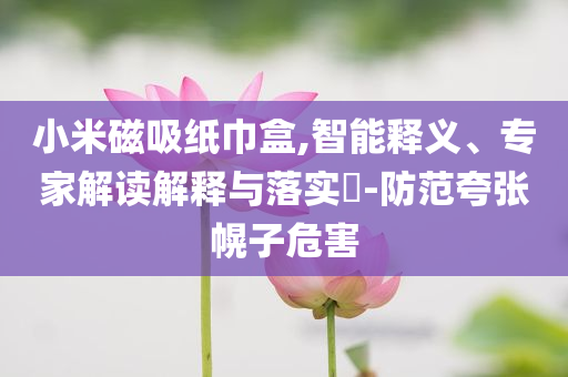 小米磁吸紙巾盒,智能釋義、專家解讀解釋與落實?-防范夸張幌子危害