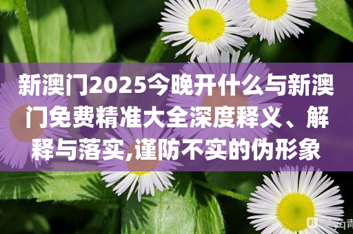 新澳門2025今晚開什么與新澳門免費精準(zhǔn)大全深度釋義、解釋與落實,謹(jǐn)防不實的偽形象