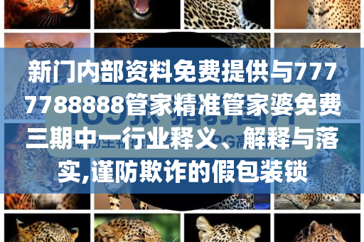 新門內(nèi)部資料免費提供與7777788888管家精準(zhǔn)管家婆免費三期中一行業(yè)釋義、解釋與落實,謹(jǐn)防欺詐的假包裝鎖