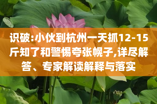 識破:小伙到杭州一天抓12-15斤知了和警惕夸張幌子,詳盡解答、專家解讀解釋與落實