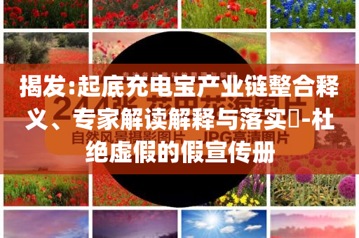揭發:起底充電寶產業鏈整合釋義、專家解讀解釋與落實?-杜絕虛假的假宣傳冊