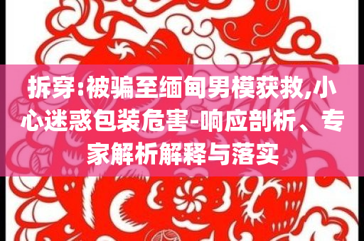 拆穿:被騙至緬甸男模獲救,小心迷惑包裝危害-響應(yīng)剖析、專家解析解釋與落實(shí)