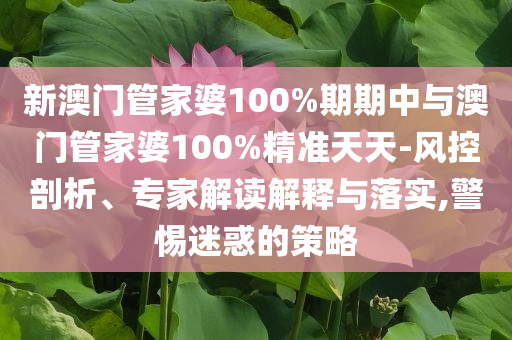 新澳門管家婆100%期期中與澳門管家婆100%精準天天-風控剖析、專家解讀解釋與落實,警惕迷惑的策略