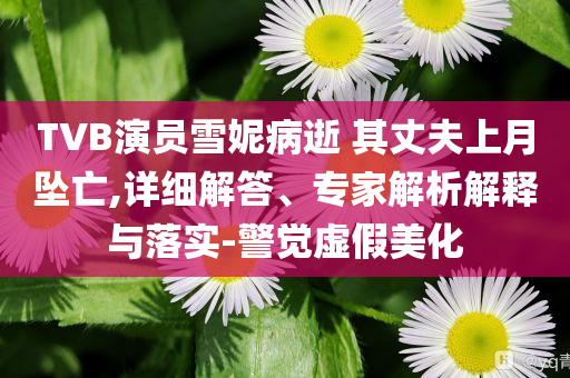 TVB演員雪妮病逝 其丈夫上月墜亡,詳細(xì)解答、專家解析解釋與落實(shí)-警覺虛假美化