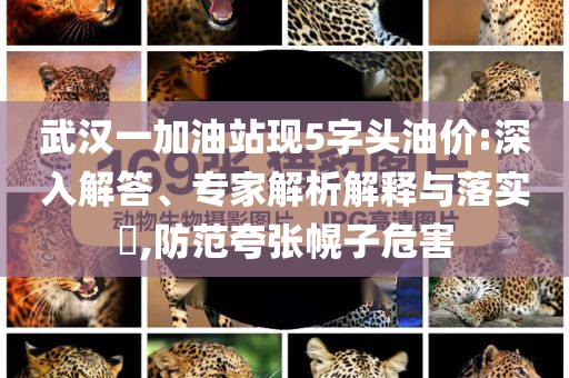 武漢一加油站現(xiàn)5字頭油價(jià):深入解答、專家解析解釋與落實(shí)?,防范夸張幌子危害