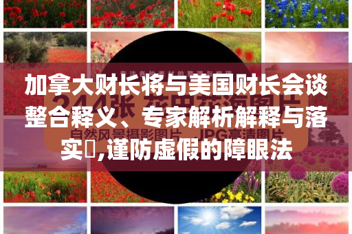 加拿大財(cái)長(zhǎng)將與美國(guó)財(cái)長(zhǎng)會(huì)談?wù)厢屃x、專家解析解釋與落實(shí)?,謹(jǐn)防虛假的障眼法