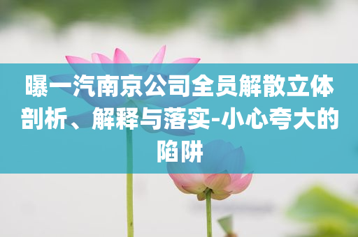 曝一汽南京公司全員解散立體剖析、解釋與落實-小心夸大的陷阱