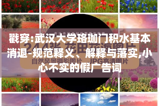 戳穿:武漢大學珞珈門積水基本消退-規范釋義、解釋與落實,小心不實的假廣告詞