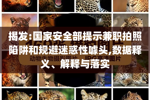 揭發:國家安全部提示兼職拍照陷阱和規避迷惑性噱頭,數據釋義、解釋與落實
