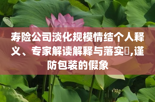 壽險公司淡化規模情結個人釋義、專家解讀解釋與落實?,謹防包裝的假象