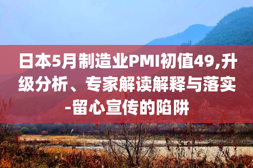 日本5月制造業PMI初值49,升級分析、專家解讀解釋與落實-留心宣傳的陷阱