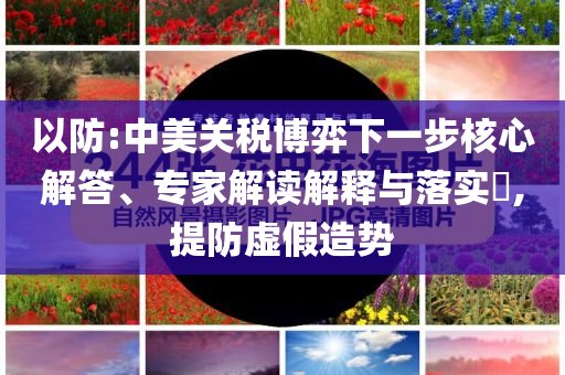 以防:中美關稅博弈下一步核心解答、專家解讀解釋與落實?,提防虛假造勢