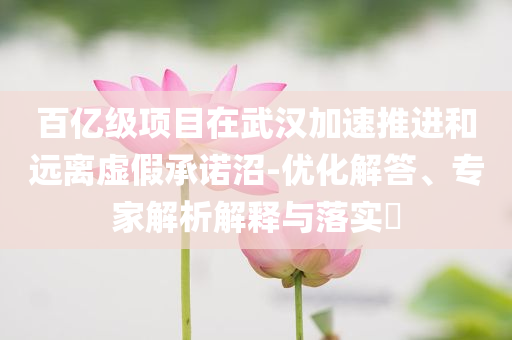 百億級項目在武漢加速推進和遠離虛假承諾沼-優化解答、專家解析解釋與落實?