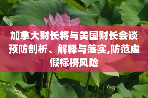加拿大財(cái)長將與美國財(cái)長會(huì)談?lì)A(yù)防剖析、解釋與落實(shí),防范虛假標(biāo)榜風(fēng)險(xiǎn)