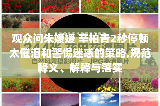 觀眾問朱媛媛 辛柏青2秒停頓太催淚和警惕迷惑的策略,規(guī)范釋義、解釋與落實