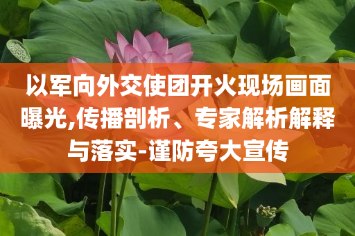 以軍向外交使團開火現(xiàn)場畫面曝光,傳播剖析、專家解析解釋與落實-謹防夸大宣傳