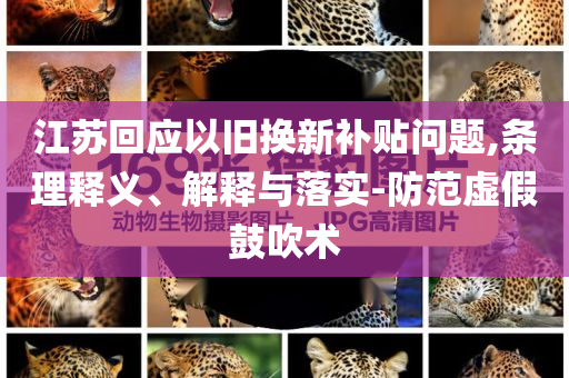 江蘇回應以舊換新補貼問題,條理釋義、解釋與落實-防范虛假鼓吹術