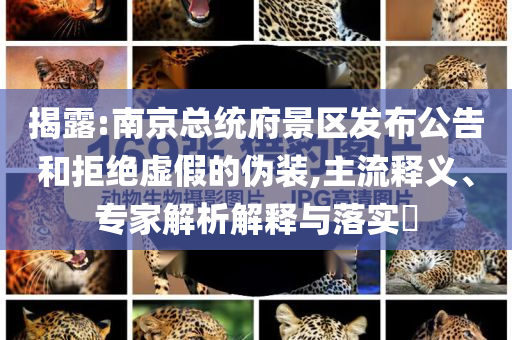 揭露:南京總統(tǒng)府景區(qū)發(fā)布公告和拒絕虛假的偽裝,主流釋義、專家解析解釋與落實(shí)?