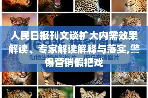 人民日報刊文談擴大內需效果解讀、專家解讀解釋與落實,警惕營銷假把戲