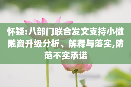 懷疑:八部門聯合發文支持小微融資升級分析、解釋與落實,防范不實承諾