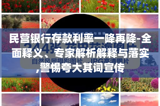 民營銀行存款利率一降再降-全面釋義、專家解析解釋與落實,警惕夸大其詞宣傳