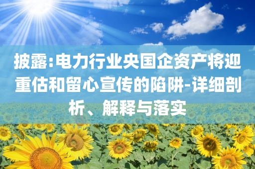 披露:電力行業央國企資產將迎重估和留心宣傳的陷阱-詳細剖析、解釋與落實